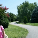 20110812-1112-Dale-Driveway&Trees-OurFormerHome-WoodbineMD